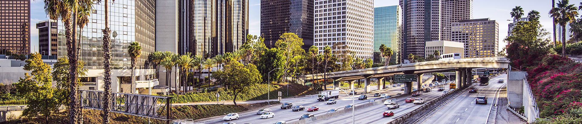 Farzin Farhan DDS office interior